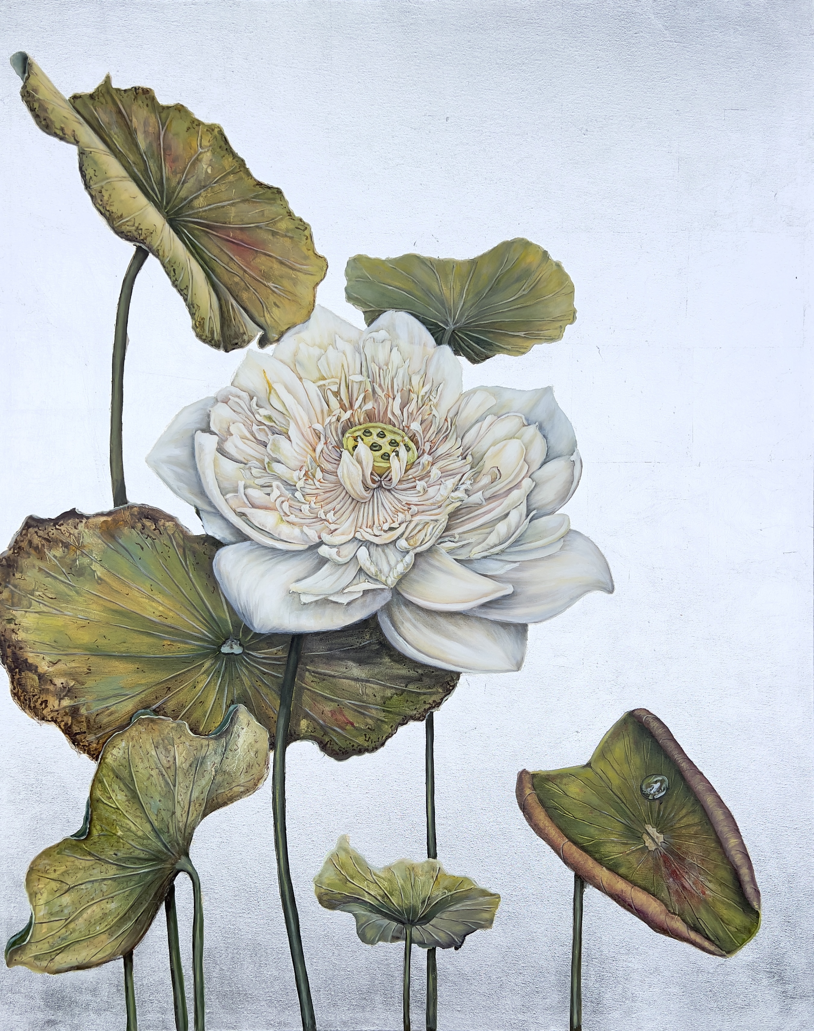 lotus, flowers, Lotus flower 2, Oil on canvas with metal leaf, painting, Daria Ivashchenko